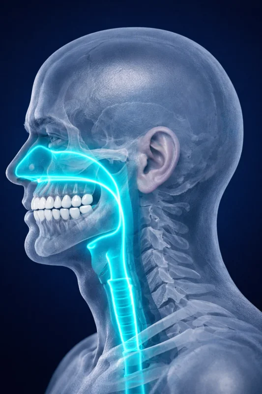 old school dental model